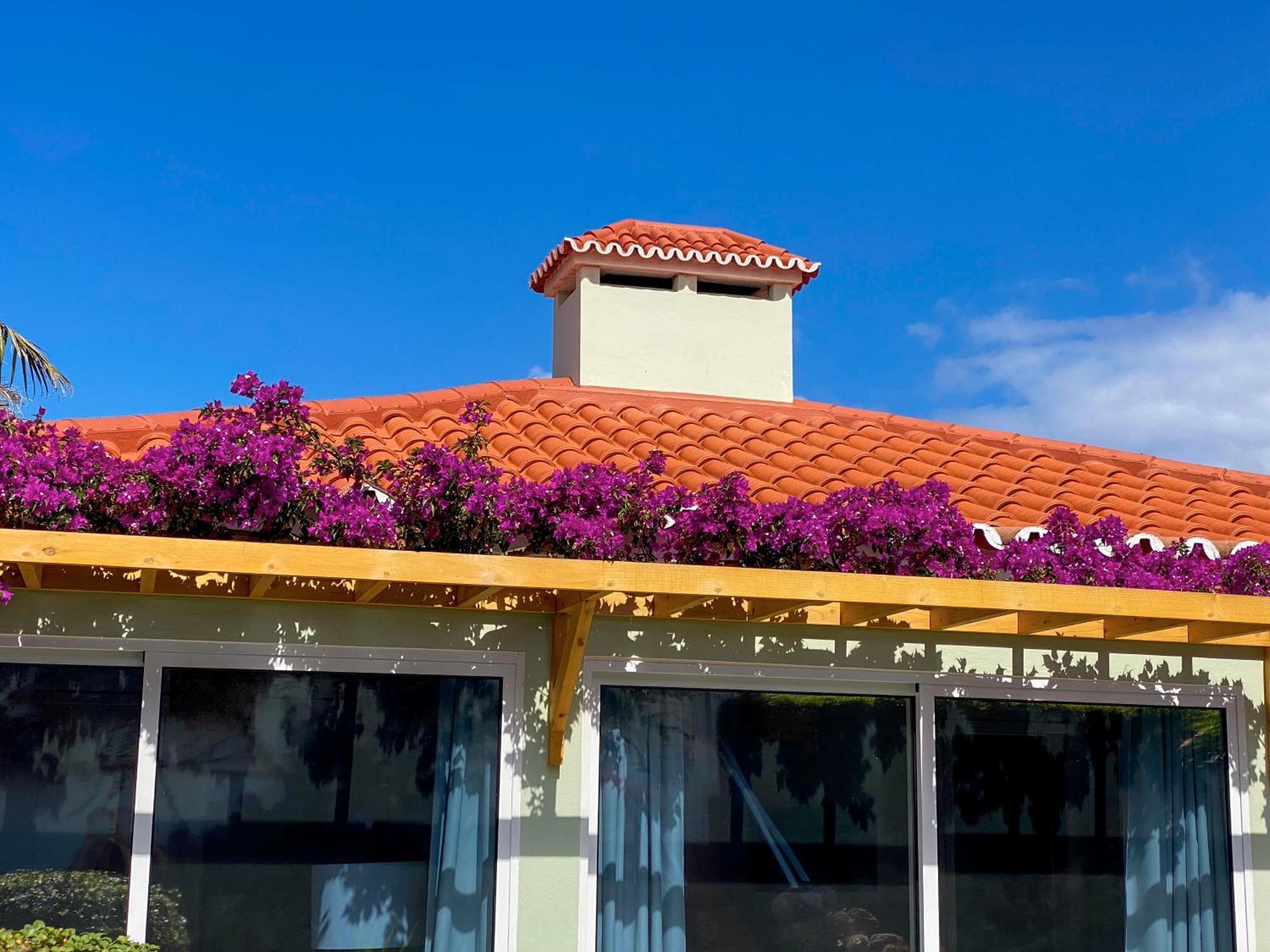 Terra Vivaz - Ribeira Cottage Ribeira Grande Eksteriør billede